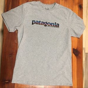 Patagonia t-shirt!! Medium, grey, awesome